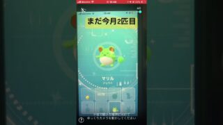 今月の撮影した色違い2匹目❤️今年160匹目（コミュデイ除く）、記念、記録動画🎥【ポケモンGO】#shorts #pokemon #ショート
