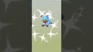 🔥50 SHINIES On Day 1 NY GO Fest!🔥 #pokemongolive #shinypokemon #pokemongo #gofest2025 #pokemongame
