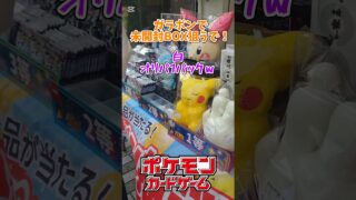 【ポケモンカード】京都のガラポンでBOX狙ってみたｗ#short #Pokemon #pokemoncards #ポケモン #ポケモンカード #shorts #オリパ #ホワイト #ブラック#ガラポン