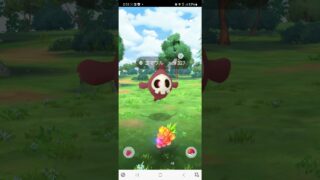 かわいいゴーストポケモン色違いGET❗❗#ポケモン #shorts #ポケモンgo