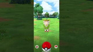 ポケモンGO メェークル　色違い