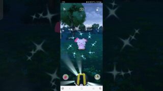 色違い　ブルー　ポケモンGO