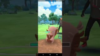 サマーカップ【ポケモンGO】エンペルト、フシギバナ、エレザード※ハイパーリーグバージョン