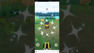 コスピカチュウ　色違い　ポケモンGO