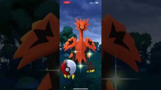 【ポケモンGO】※無編集※課金してガラルサンダーさんに全力で遊んでもらった！【モンスターボール】