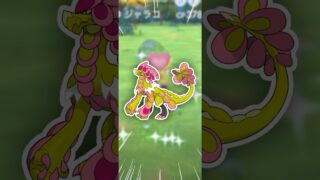 短い時間でも、こんだけやれます！【ポケモンGO】