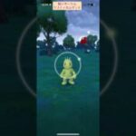 【難易度低】色違いワンリキー極小サークルクリティカルゲット【ポケモンGO】
