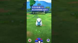 色違い〜#ポケモンGO#色違い#サンドパン