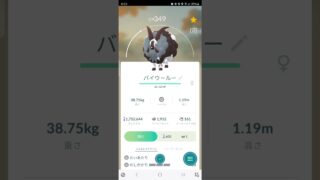 色違い　ウールーからバイウールーに進化　ポケモンGO