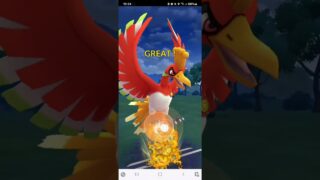 ポケモンGO 通常マスターリーグ Lカイリュー、ホウオウ、ザマゼンタ(盾の王)