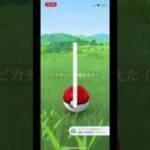 ポケモンGO fest2025 ピカ様2匹目の色違い⚡️