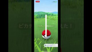 ポケモンGO fest2025 ピカ様2匹目の色違い⚡️
