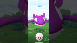 【ポケモンGO】色違いのカイオーガちゃんの再来よ〜 #pokemon