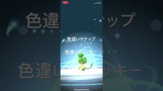 ポケモンGO 色違いヤナップ出現！イッシュの石を使って色違いヤナッキーへ進化！ #pokémon #ポケモン #ポケモンgo #pokemongo