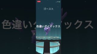 ポケモンGO 色違いダイマックスゴース出現！色違いゴースト、色違いゲンガーへ進化！ #pokémon #ポケモン #ポケモンgo #pokemongo