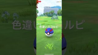 ポケモンGO 色違いスコルピ出現！ #pokémon #ポケモン #ポケモンgo #pokemongo