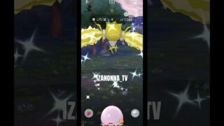 #ポケモンGO #色違い #レジエレキ #pokemon #pokemongo #pokemoncards PokémoCard Pocket / ポケポケ