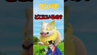 【ポケモンGO】ワンパチ初実装！レア出現＆毎日変わるタイムチャレンジ徹底解説 #pokemongo #ワンパチ #バグ #shorts