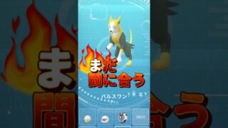 【感動】ワンパチ進化！アメ集め裏技で図鑑登録完了！沖縄ピカチュウジェットも！【ポケモンGO】 #pokemongo #ワンパチ #ピカチュウジェット #shorts