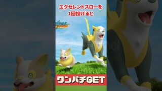 【ポケモンGO】2日間限定！ワンパチ進化最短攻略！ジャラコ色ちがい確率！ワンパチ出現タスク判明！ #pokemongo #コミュニティデイ #shorts