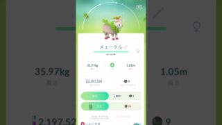 ポケモンGOフェス2025でメェークルの色違いゲット！！#ポケモンgoフェス2025 #色違いメェークル #ポケモンgo #色違い #shorts