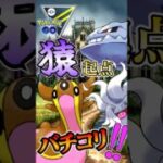 コノヨザル←ガッツリ起点にします!!【ポケモンGO】【GOバトルリーグ】