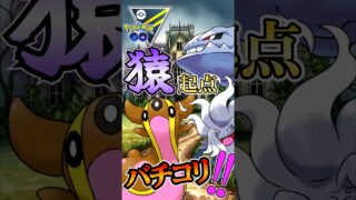 コノヨザル←ガッツリ起点にします!!【ポケモンGO】【GOバトルリーグ】