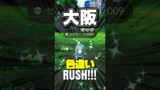 【GOフェス大阪】色違いポケモンRUSH!!!