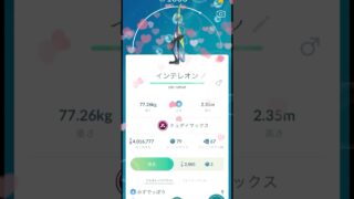 無課金でポケモンGo      キョダイマックスインテレオンゲットだぜ！