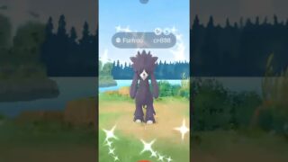 ✨I Didn’t Expect THIS Shiny Pokemon in Pokemon Go!✨ #shorts #pokemon