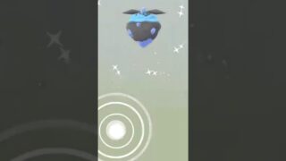 ✨I Hatched THIS SHINY Pokemon in Pokemon Go!✨ #shorts #pokemon