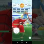 ザシアンレイド#PokémonGOfest2025#ポケモンgo #ポケgo