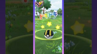 ドキドキTime🫣💕 ❀(*´▽`*)❀ #pokemongo