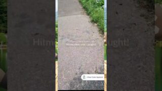Złapałem HITMONLEE w prawdziwym świecie! 😱 Pokémon GO w trybie AR! #pokemongo #pokemon #shorts