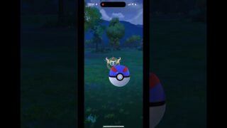 今日の色違い!!#ポケモンgo #初心者#色違い #野獣先輩