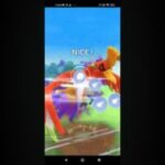 ポケモンgo トレーニングバトル part39 マスターリーグ