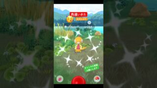😊🙌🏻 #ポケモンgo #ポケモン #pokemongo #pokemon #色違い #色違いポケモン #shiny #shinypokemon #チャンネル登録お願いします #shorts