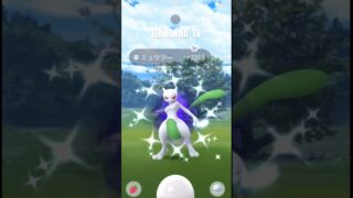 #ポケモンgo #色違い ミュウツー #shiny #pokemongo #pokemon #mewtwo
