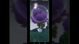 ポケモンgo　色違いシリーズ！！思わず降臨するドーミラー(2025.04.03)
