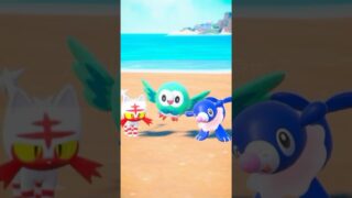 #ポケモン #色違い #モクロー #ニャビー #アシマリ #pokemon #pokemoncards #pokemongo #ポケカ