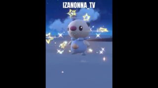 #色違い ダイケンキ❗️#pokemon #ポケモン #pokemoncards #ポケモンカード #switch2