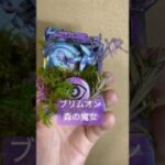 ブリムオン。#ポケモンカード #ポケモン #ポケカ #pokemoncards #pokemon #シャドーボックス