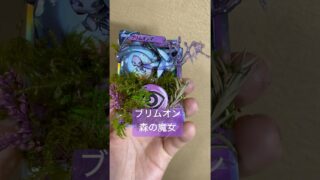ブリムオン。#ポケモンカード #ポケモン #ポケカ #pokemoncards #pokemon #シャドーボックス