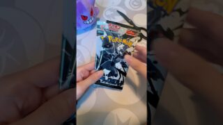 【最新パック】ブラックボルト ホワイトフレア 開封🖤🤍#ポケモンカード #ポケカ #ポケポケ #ポケカ開封 #pokemoncards #pokemontcg