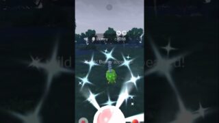 #pokemongo #shiny #色違い #ポケモン #pokemon
