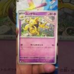テラスタルフェス #ポケモンカード  #ポケモン  #ポケカ #ポケポケ  #ポケカ開封  #テラスタルフェス #ホワイトフレア #ブラックボルト #ロケット団の栄光