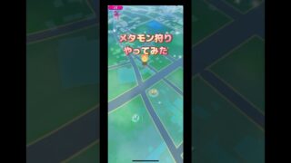 メタモン狩りやってみたドンメルは興味ないよ🤣
