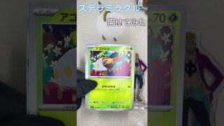 ステラミラクル開けてみたよい#ポケカ #ポケモンカード #カード開封 #ステラミラクル #不死鳥マルコ