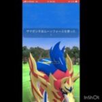 盾の王【ザマゼンタ】デビュー‼️