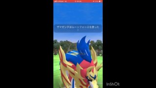 盾の王【ザマゼンタ】デビュー‼️